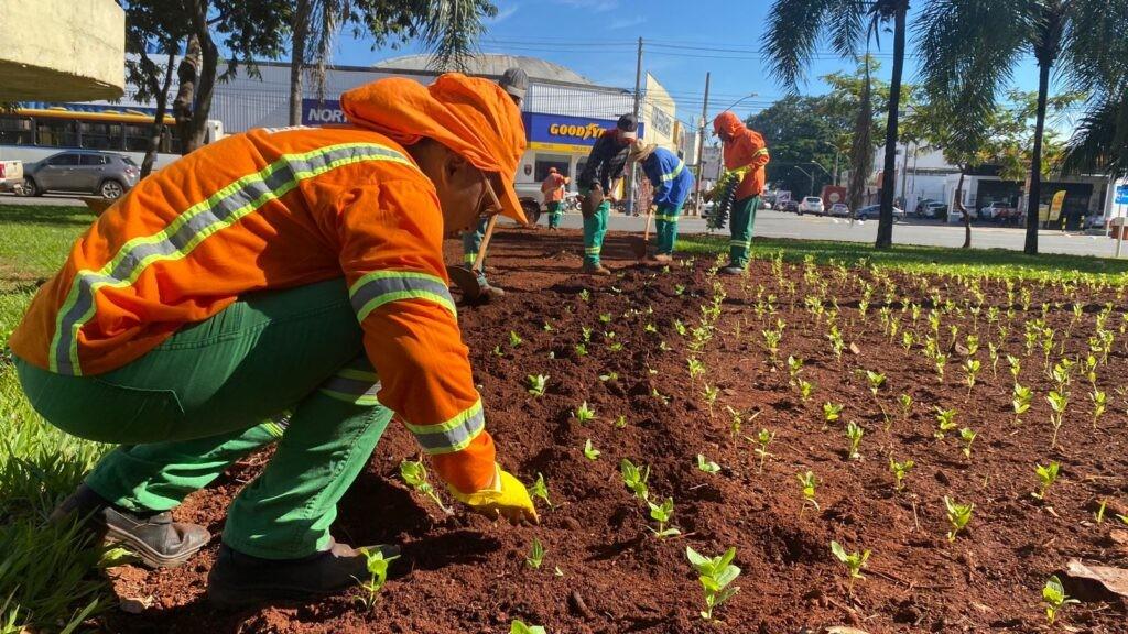 Comurg realiza plantio de 116 mil mudas ornamentais em cinco praças da capital, até domingo (05/03)