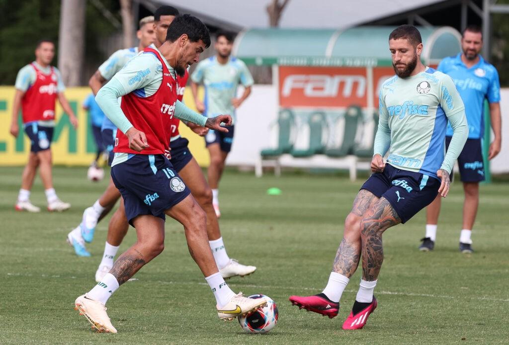 Palmeiras encara o Santos pela pela 6ª rodada do Paulistão