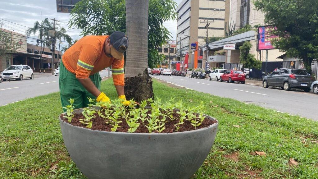Prefeitura de Goiânia instala 10 novas floreiras no canteiro central da Avenida República do Líbano, no Setor Oeste