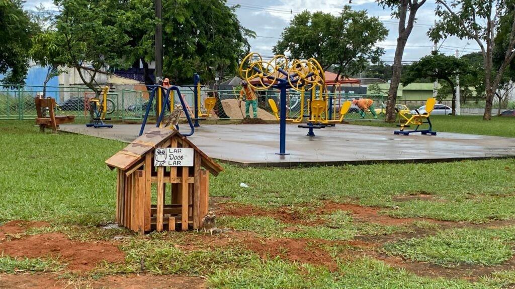 Prefeitura de Goiânia instala novas casas para corujas nos setores Goiânia II, Residencial Senador Paranhos e Residencial Belo Horizonte