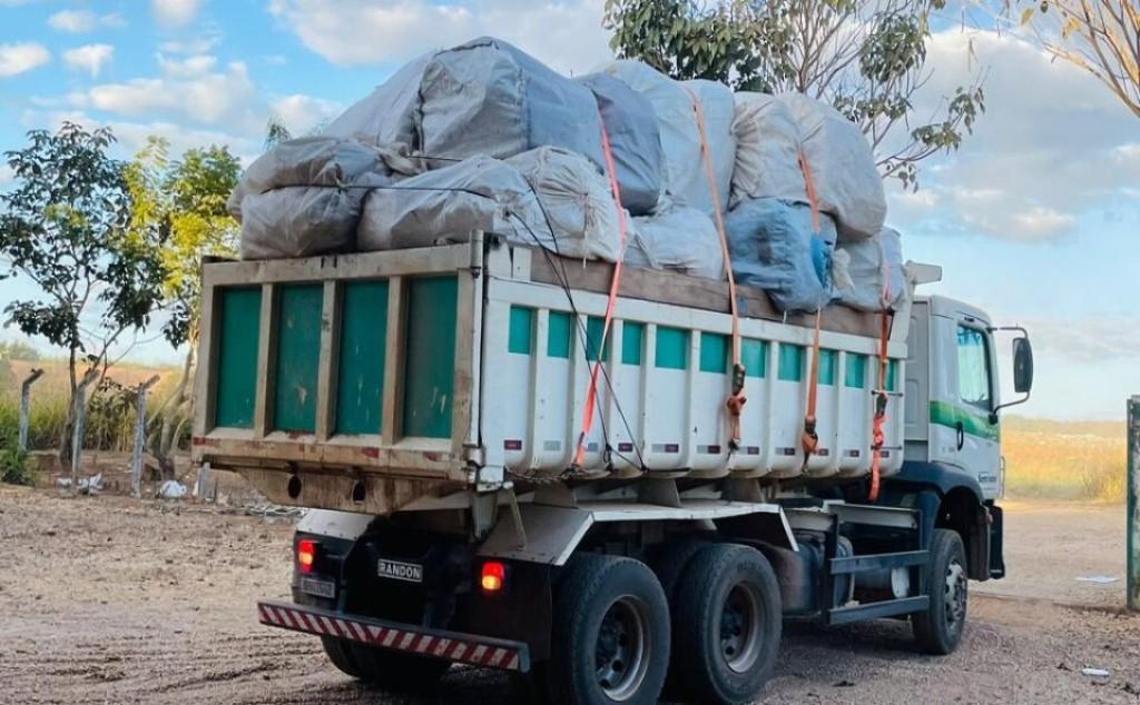 Agrodefesa recolhe mais de 5,5 mil embalagens vazias de agrotóxicos