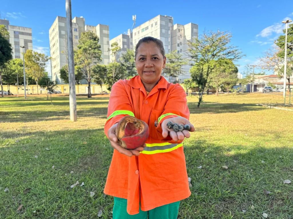 Prefeitura de Goiânia amplia produção de mudas nos viveiros, com coletas de sementes em praças, parques e canteiros