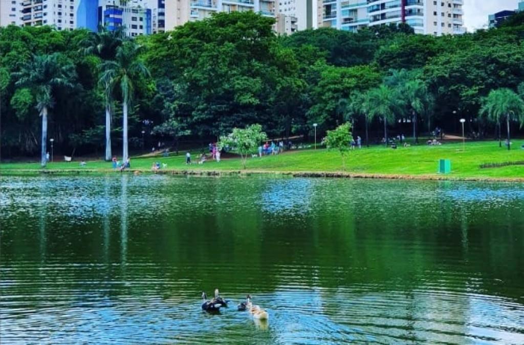 Prefeitura de Goiânia inicia troca de iluminação do Parque Vaca Brava na segunda-feira (10/07)