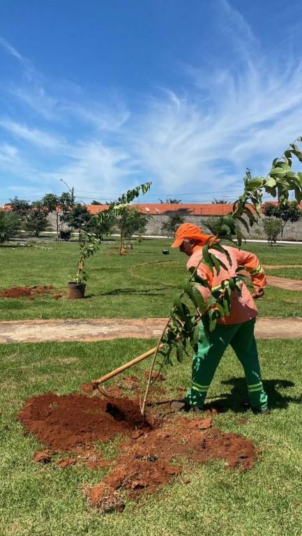 Goiânia ganha 25 mil novas mudas e Prefeitura planeja plantio de mais 47 mil exemplares