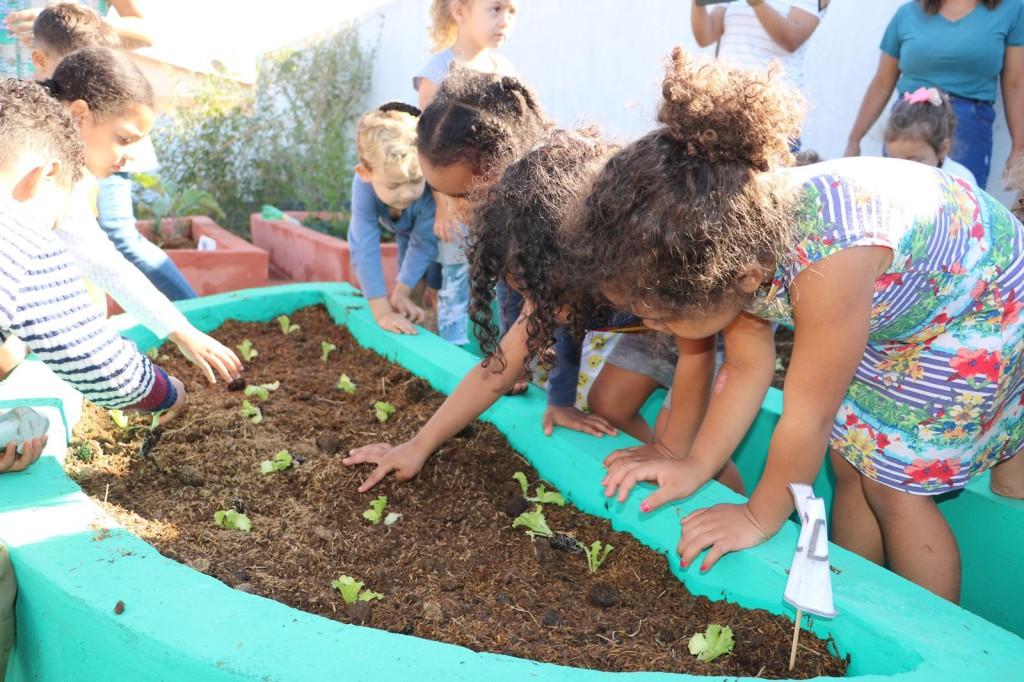 Horta Escolar celebra 22 anos ensinando crianças da rede municipal de Educação a plantar, cuidar e colher alimentos