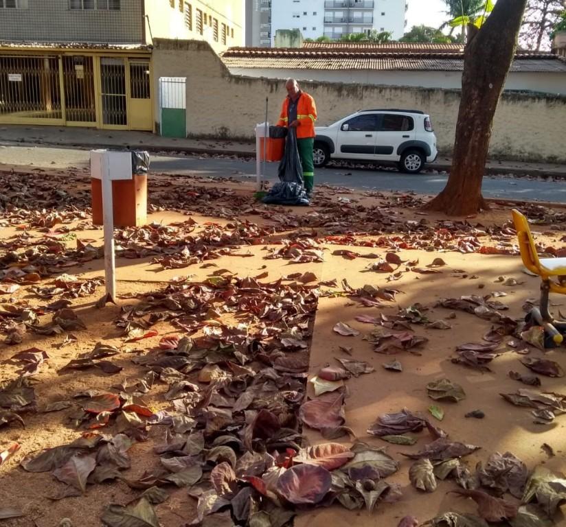 Prefeitura de Goiânia realiza serviço de retirada de folhas secas no Parque Atheneu e intensifica varrição em 150 circuitos nesta quarta-feira (02/08)