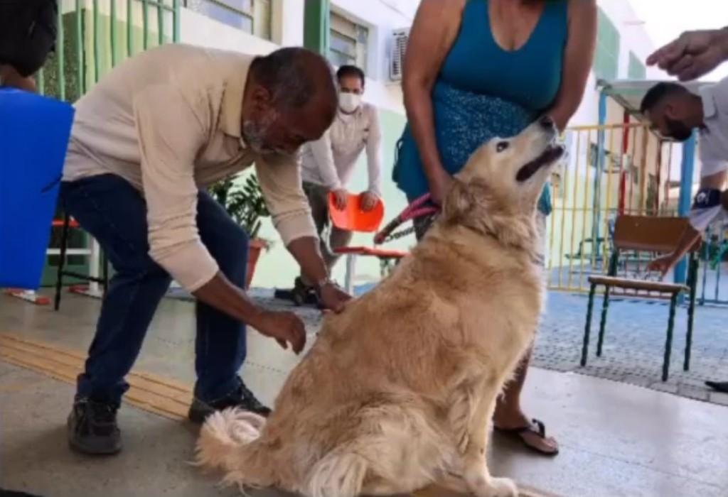 Prefeitura de Goiânia define Campanha Antirrábica de cães e gatos em 2023