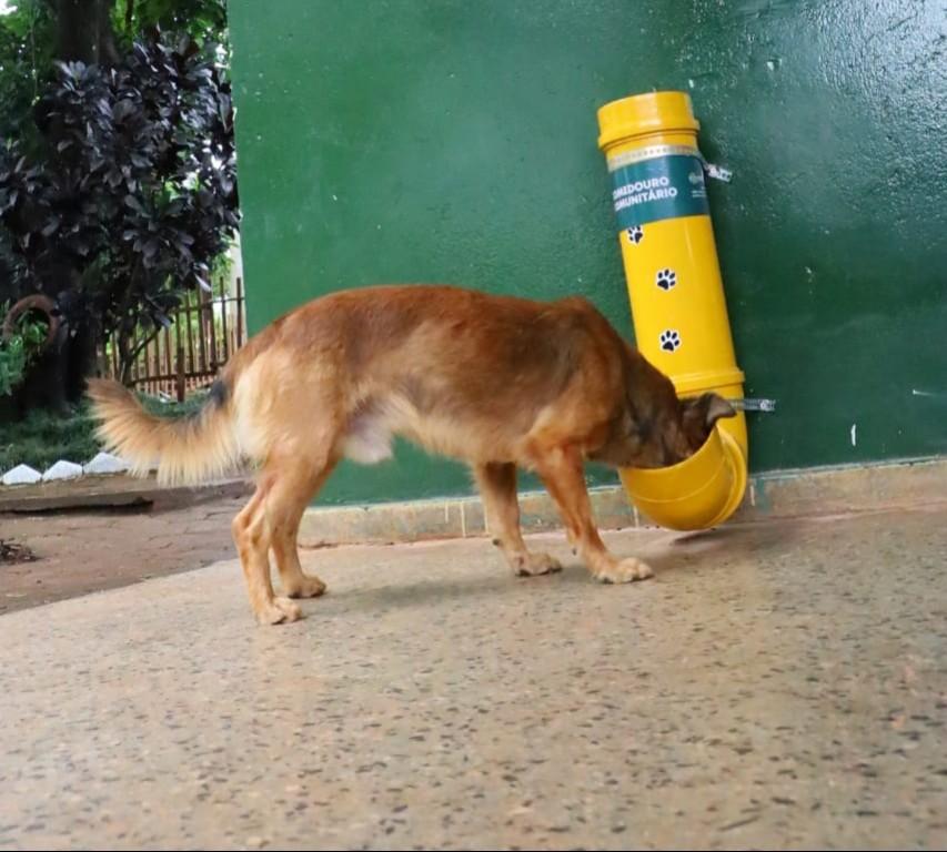 Prefeitura de Goiânia oferece água para animais em parques durante altas temperaturas