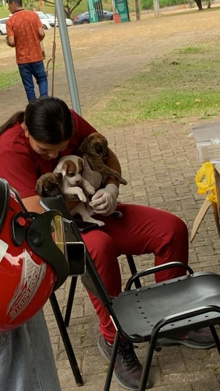 3º Cãominhada e Blitz Ambiental no Parque Campininha das Flores reúne mais de 100 animais e seus tutores