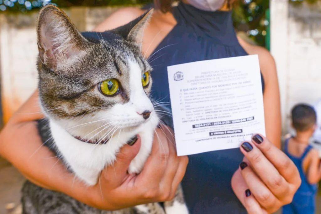 Prefeitura de Goiânia imuniza mais de 98 mil cães e gatos em três etapas da Campanha de Vacinação Antirrábica