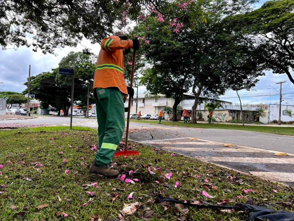 Prefeitura de Goiânia normaliza coleta orgânica e promove outros 29 serviços de urbanização