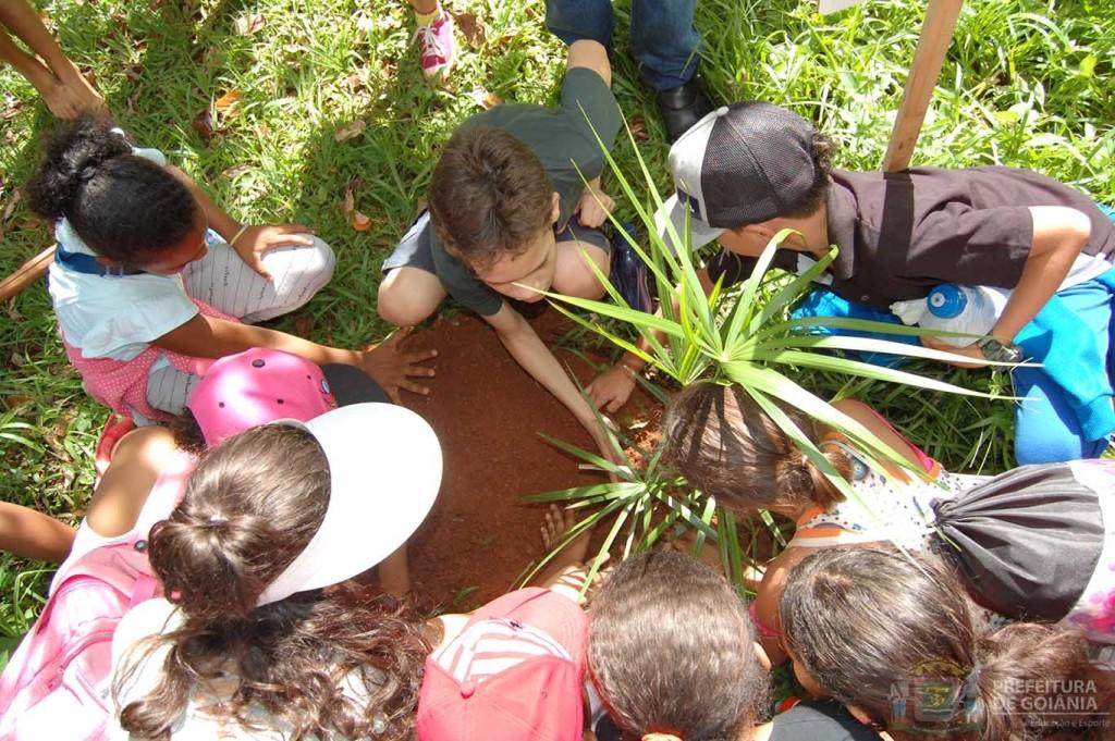 Prefeitura de Goiânia retoma projeto ambiental Plantando Árvores, Colhendo Vidas