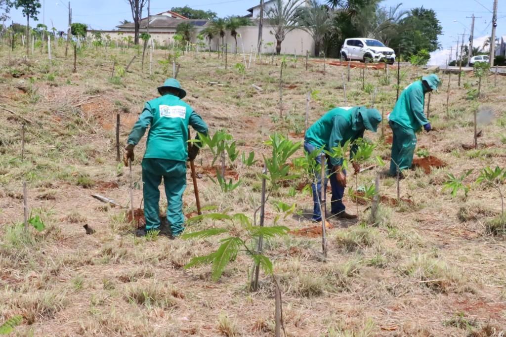 Prefeitura de Goiânia recebe mais 15 reeducandos por meio do programa Recuperando Pessoas e Parques