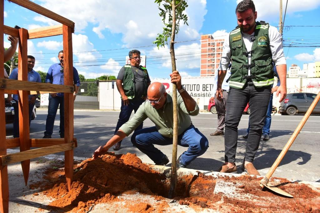 Rearboriza Goiânia planta 170 mudas de árvores no Centro da Capital
