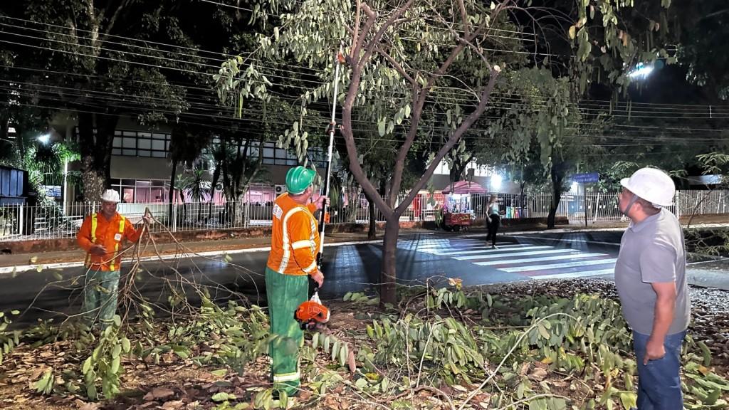 Comurg realiza poda preventiva em 525 árvores durante o fim de semana
