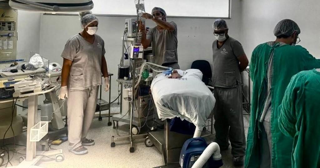 Maternidade Dona Íris retoma realização de cirurgias neonatais