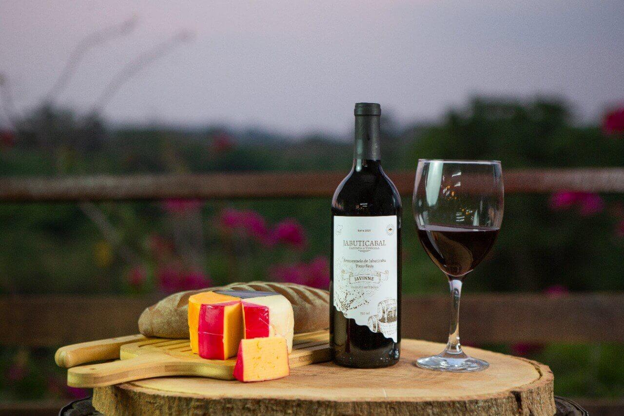 ‘Goiás Gastronomia 2026’ será lançado na Fecomércio celebrando raízes e releituras da culinária goiana