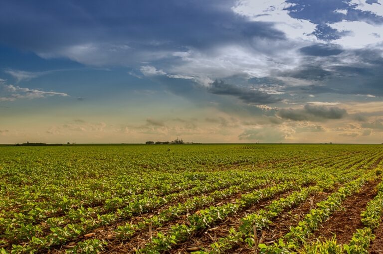 Pesquisa do Goiás Verde aponta que agro goiano pode ser sustentável