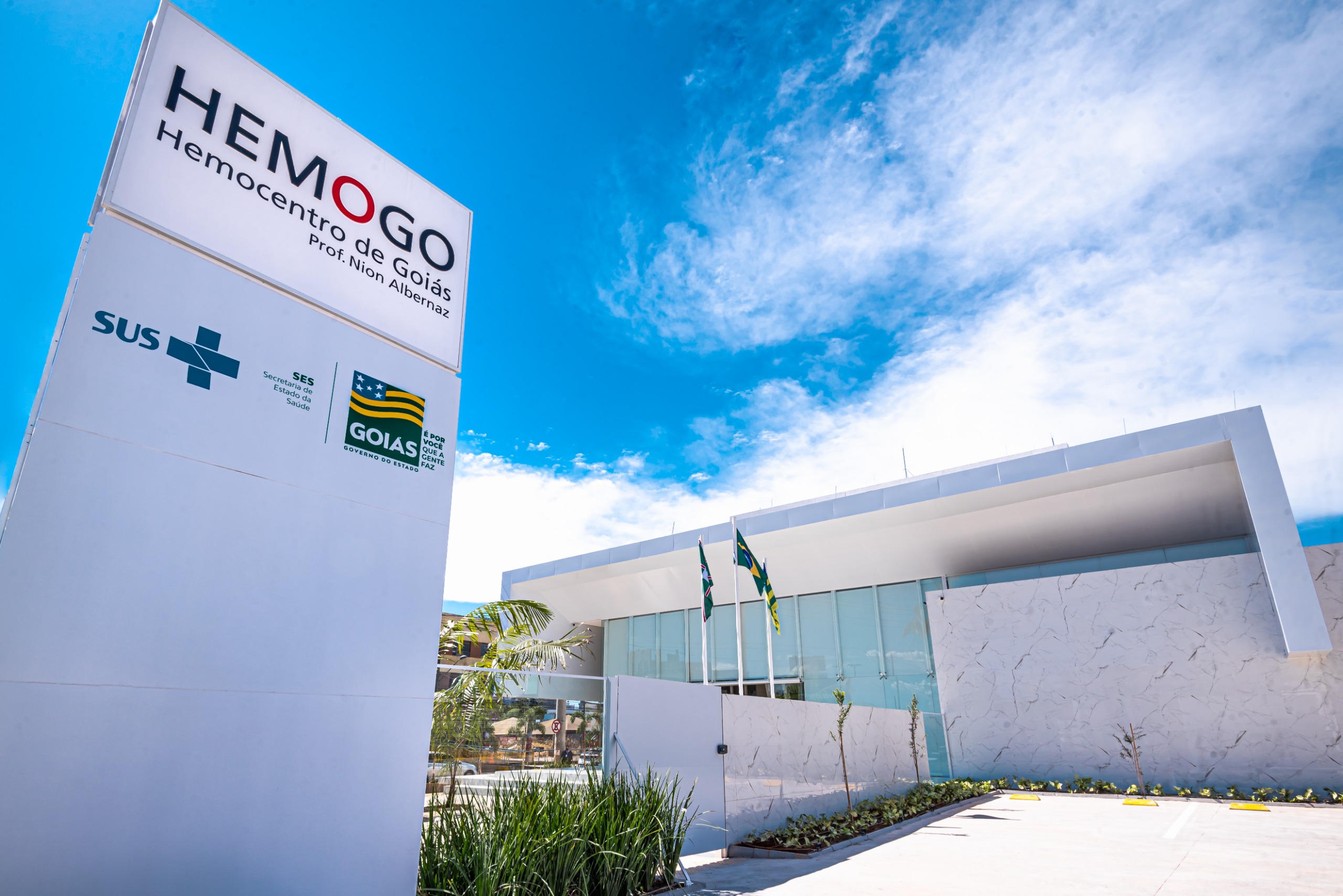 Rede Hemo orienta doação de sangue para pessoas que usam canetas emagrecedoras