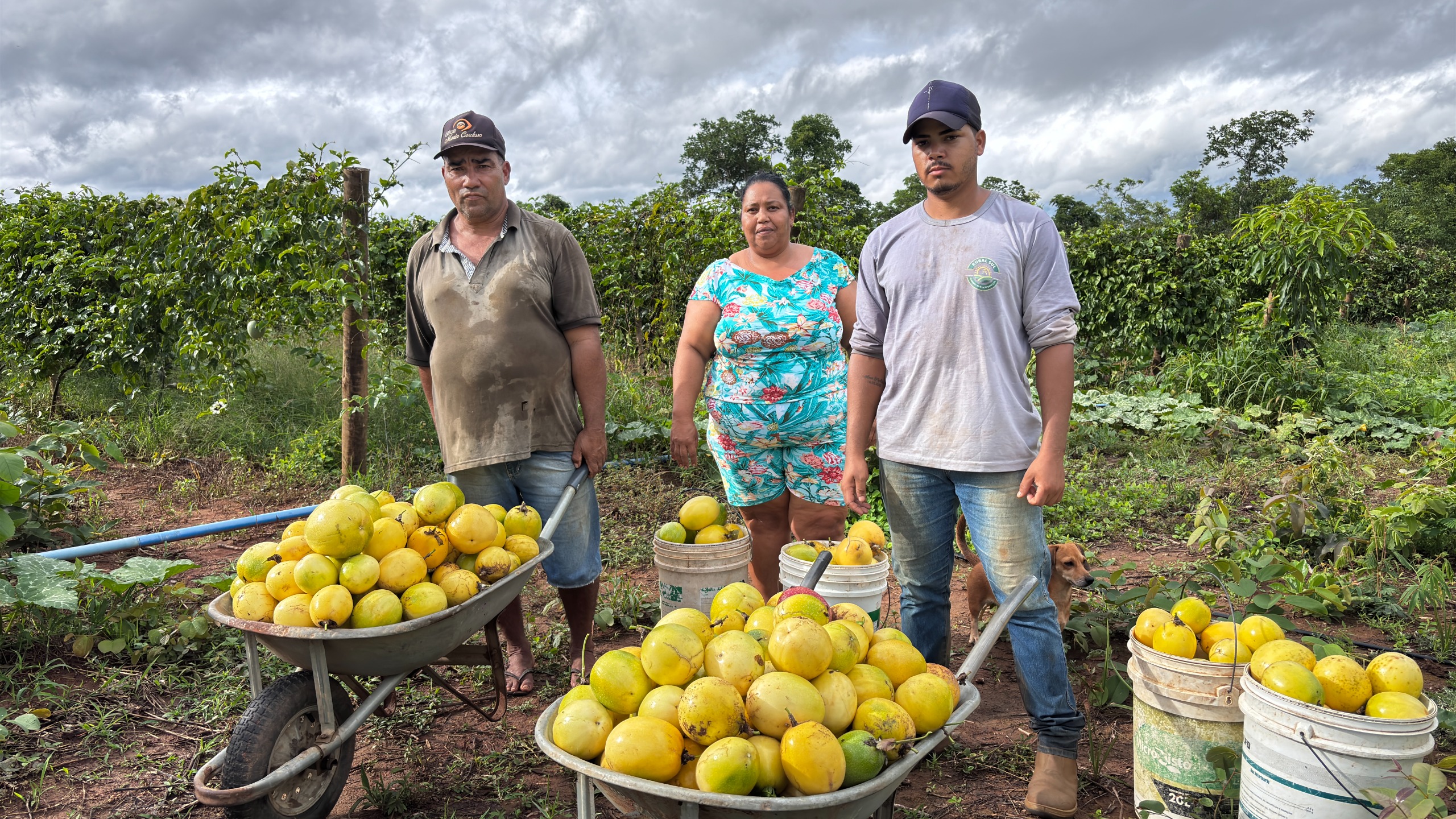 Goiás terá semana de cadastro para agricultura familiar