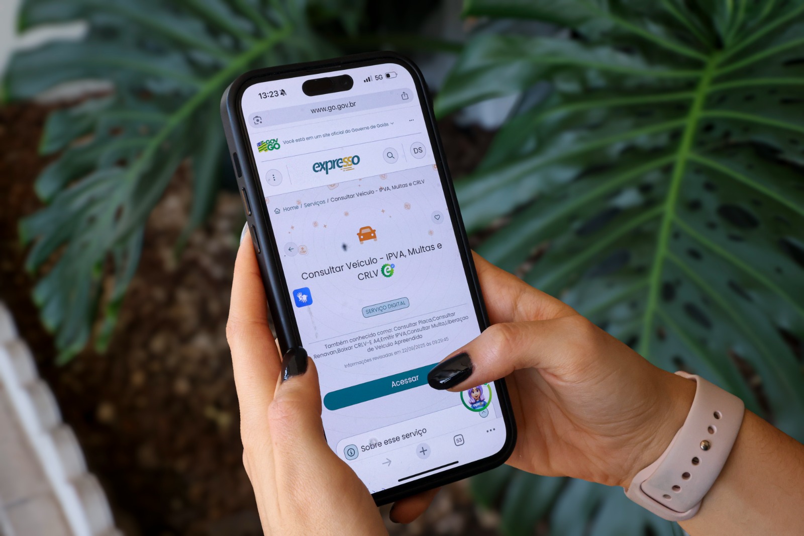 IPVA 2026 em Goiás: sexta parcela vence nesta segunda-feira