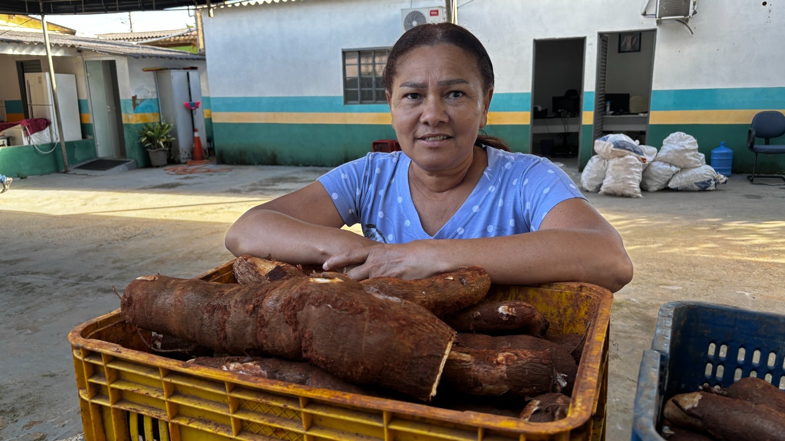 Programa de Aquisição de Alimentos tem prazo ampliado em Goiás