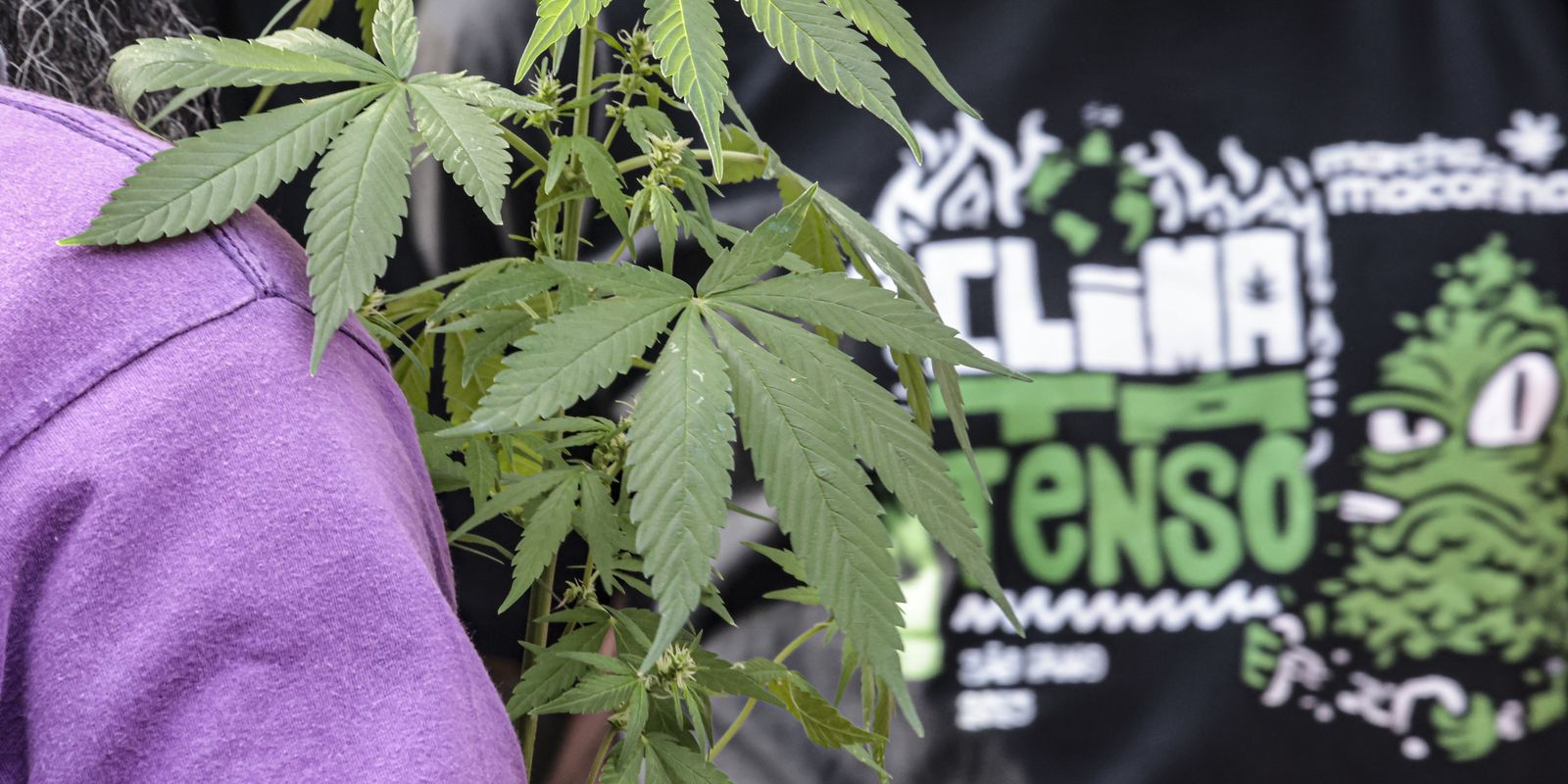 Flagrante por drogas gera mais prisão preventiva no Brasil, diz CNJ