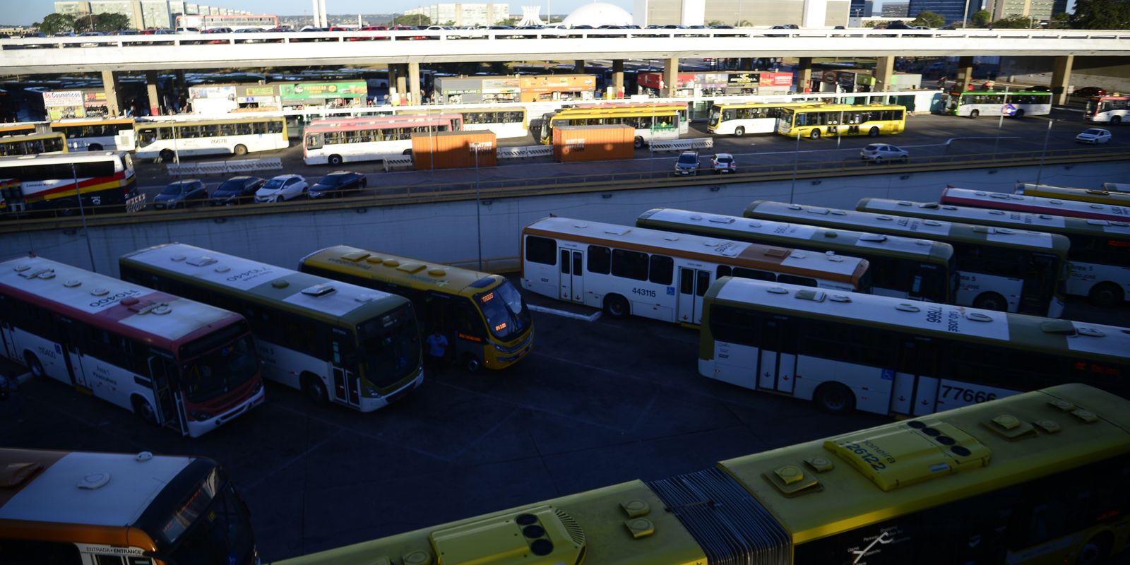 Kassio Nunes Marques cobra TREs sobre transporte público gratuito