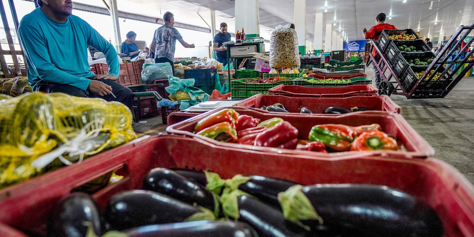 Nova campanha nacional busca combater o desperdício de alimentos no Brasil