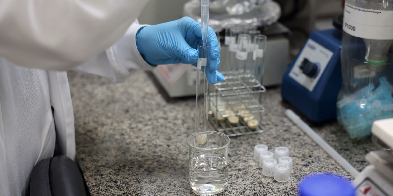 Doença de Newcastle em Santa Catarina: protocolos sanitários são cumpridos