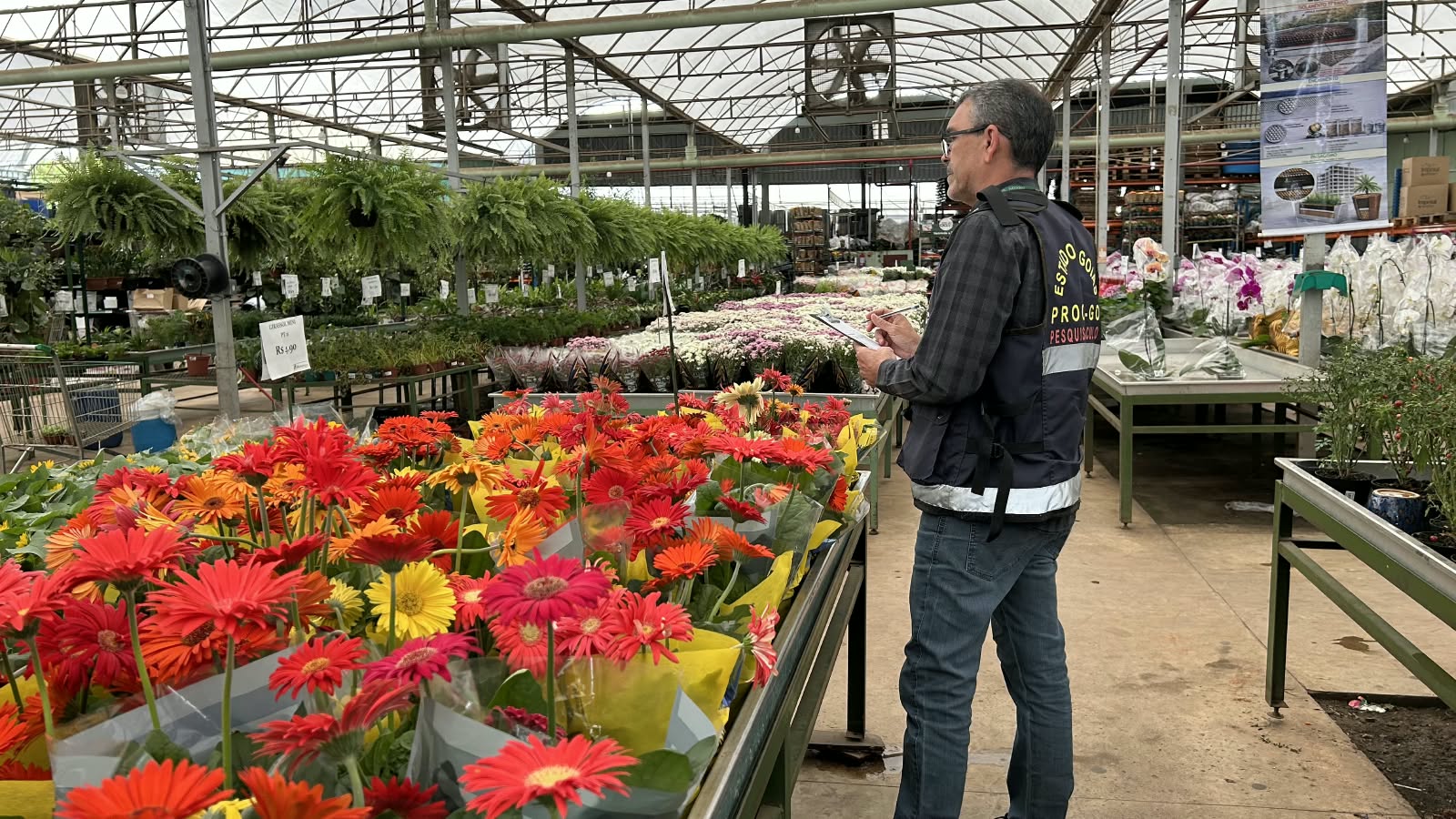 Preço das flores no Dia de Finados varia até 605% em Goiás