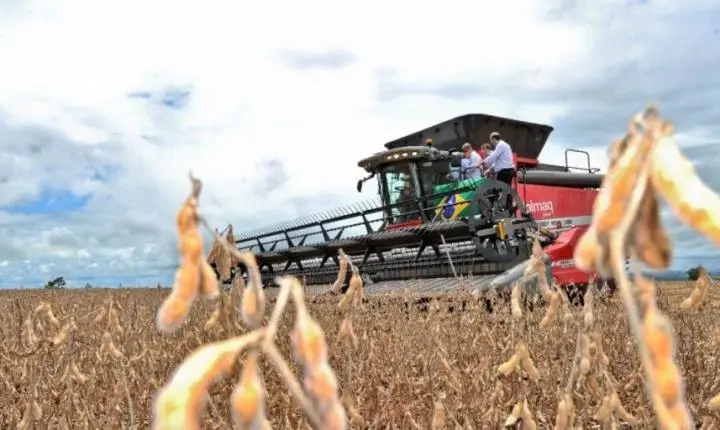 Balança comercial de Goiás tem superávit de US$ 589 milhões em setembro