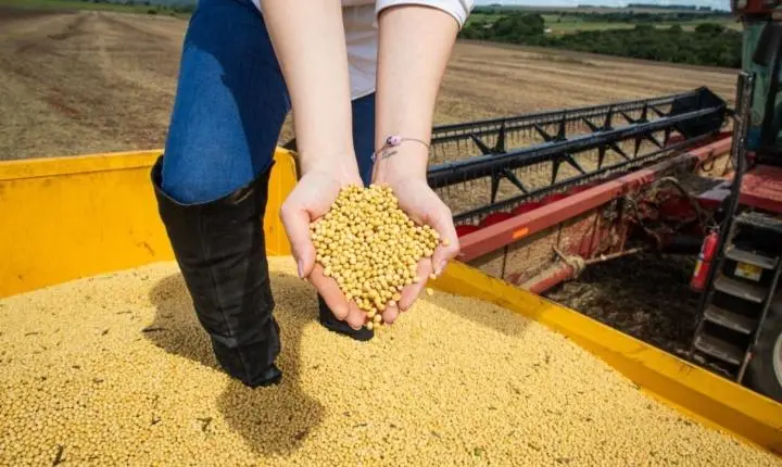 Balança comercial goiana registra superávit de US$ 1,047 bilhão em abril