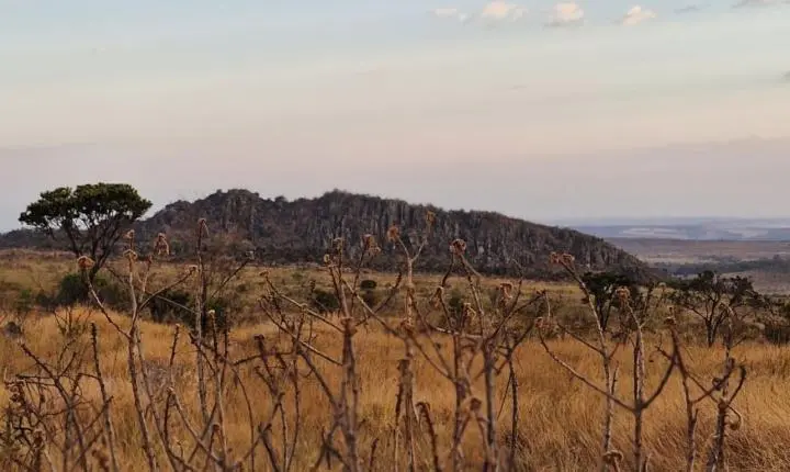 Brigadas comunitárias reforçam combate a incêndios florestais em Goiás