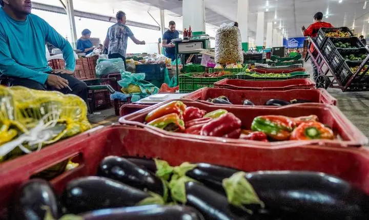Nova campanha nacional busca combater o desperdício de alimentos no Brasil