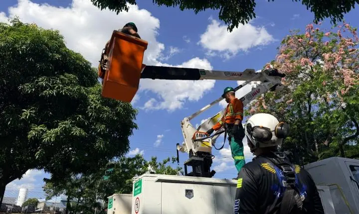 Comurg capacita servidores para trabalho em altura de manejo arbóreo