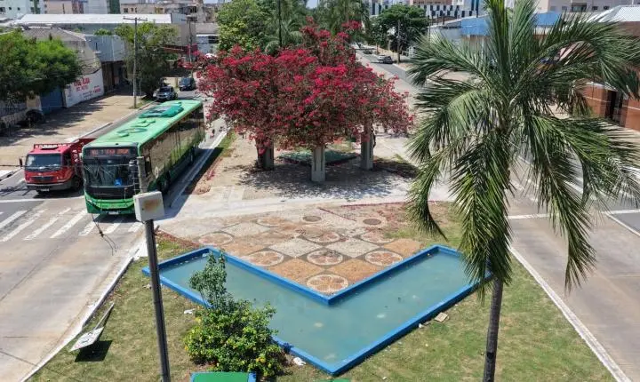 Comurg planta 15,4 mil mudas de flores e substitui árvores secas no Centro de Goiânia