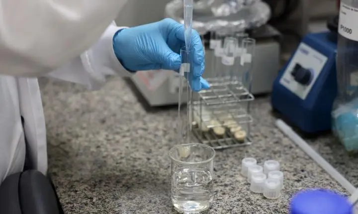 Doença de Newcastle em Santa Catarina: protocolos sanitários são cumpridos
