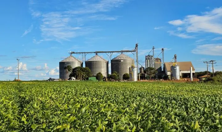 Em Goiás, produtividade da soja cresce 15,4% em dez anos