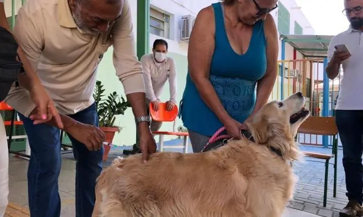 Goiânia realiza campanha antirrábica com vacinas gratuitas para cães e gatos