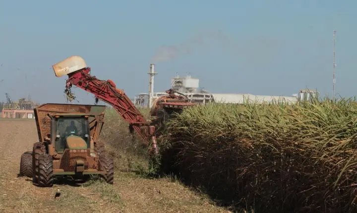 Goiás bate recorde e atinge 2º lugar em ranking nacional de produção de cana-de-açúcar