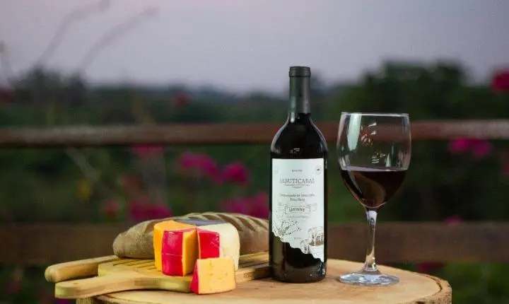 ‘Goiás Gastronomia 2026’ será lançado na Fecomércio celebrando raízes e releituras da culinária goiana