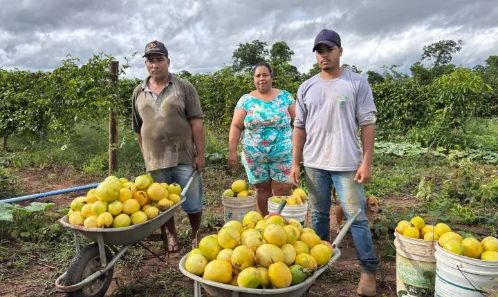 Goiás terá semana de cadastro para agricultura familiar