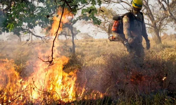 Governo de Goiás orienta população sobre prevenção a incêndios em áreas urbanas