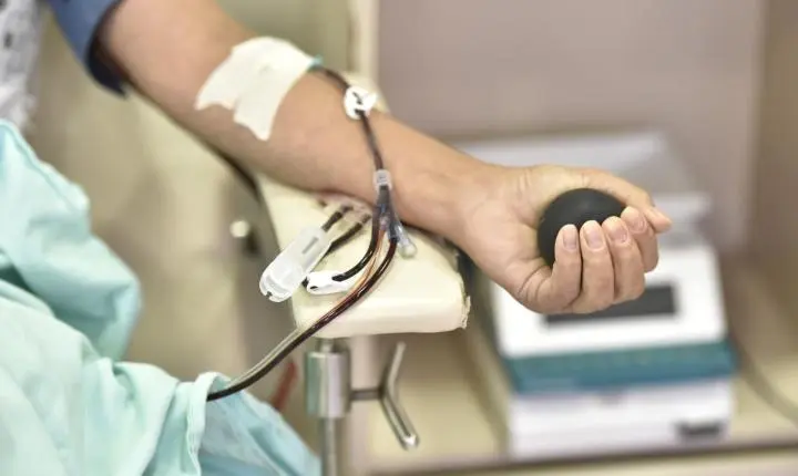 Hemocentro tem aumento no número de doadores de primeira vez