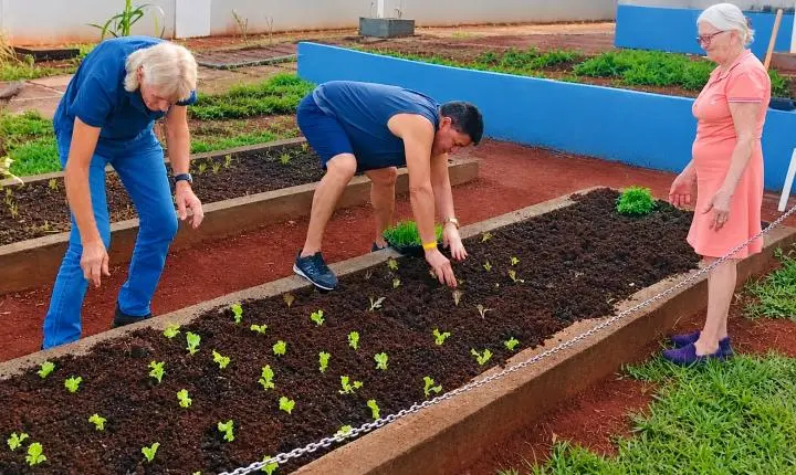 Horta terapêutica ajuda pacientes a recuperar autonomia durante reabilitação em Goiás