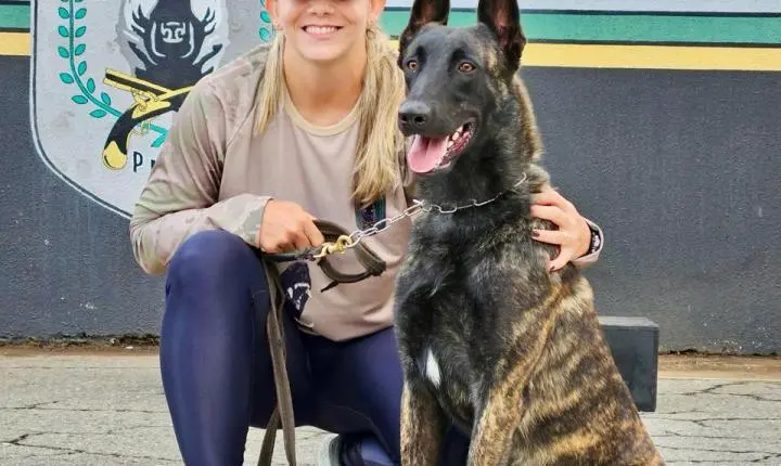 Mais de 2,5 mil pessoas já confirmaram inscrição para 2ª Cãominhada do BPCães