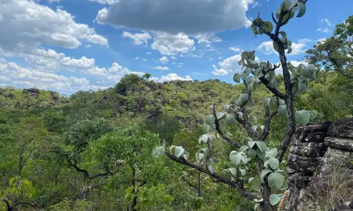 PSA Cerrado em Pé prorroga inscrição até 30 de junho