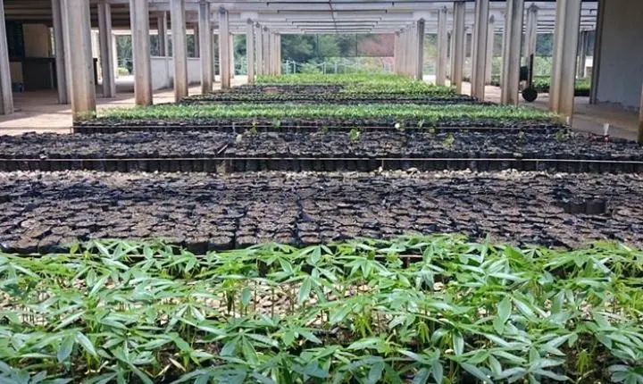 Saneago seleciona propriedades rurais para doações de biossólido