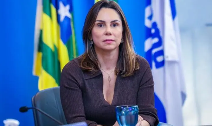 Secretária da Economia representa Goiás no Comitê Gestor